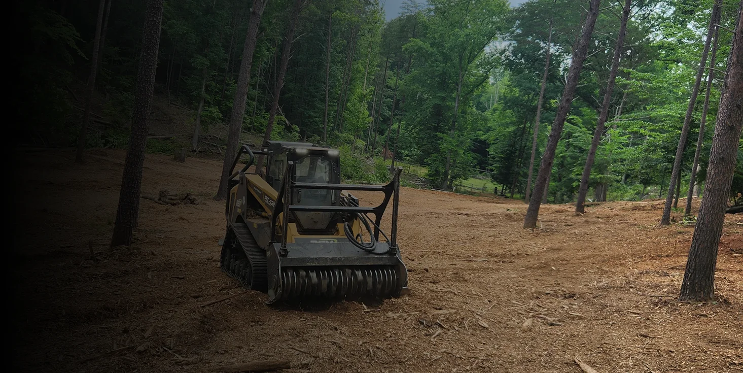 carolina brush Hero 2